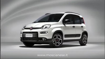 Fiat Panda 1.0 FireFly S&S Hybrid City Cross usata