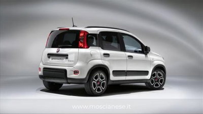 Fiat Panda 1.0 FireFly S&S Hybrid City Cross (2)
