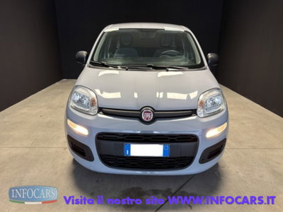Fiat Panda 1.0 firefly hybrid s&s 70cv 5p.ti (18)
