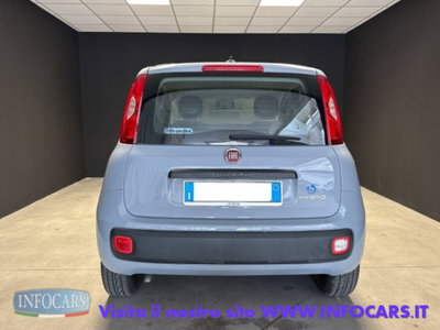Fiat Panda 1.0 firefly hybrid s&s 70cv 5p.ti (19)