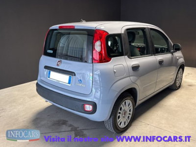 Fiat Panda 1.0 firefly hybrid s&s 70cv 5p.ti (4)