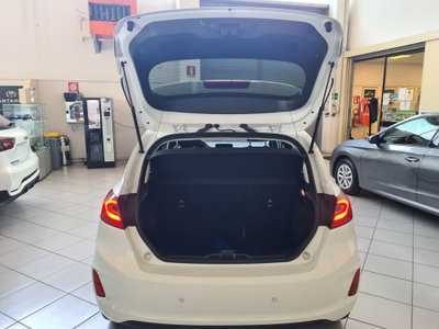 Ford Fiesta 1.1 75 CV GPL 5 porte Titanium (8)
