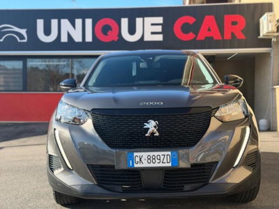 Peugeot 2008 PureTech 100 S&S Active (2)