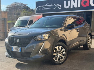 Peugeot 2008 PureTech 100 S&S Active (3)