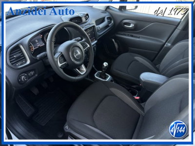 Jeep Renegade 1.6 Mjt 130 CV Limited (18)