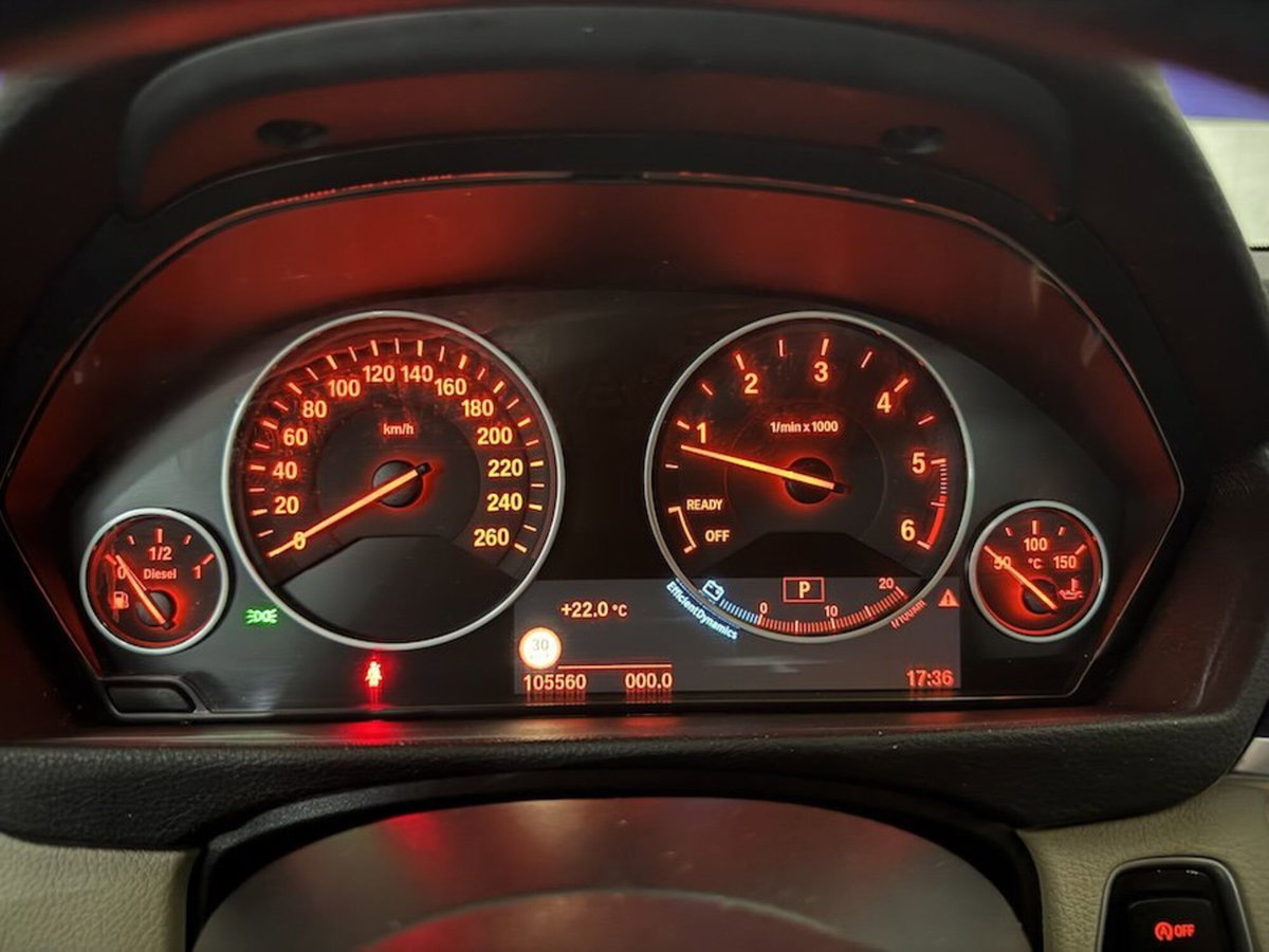 BMW Serie 3 318d Luxury (20)