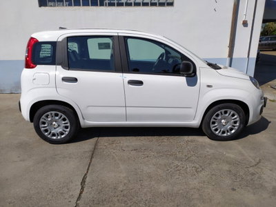 Fiat Pandina 1.0 firefly hybrid s&s 65cv (13)