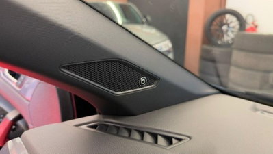 Volkswagen Polo 2.0 tsi GTI dsg (12)