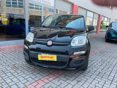 Fiat Panda 1.2 Easy usata