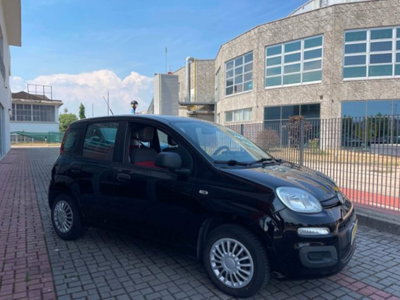 Fiat Panda 1.2 Easy (2)