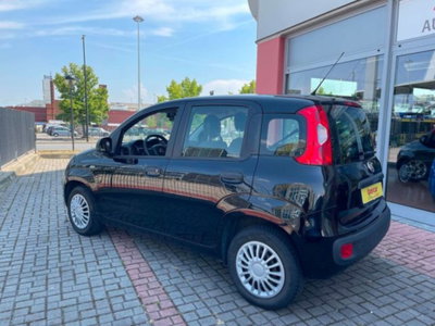 Fiat Panda 1.2 Easy (3)