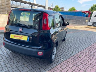Fiat Panda 1.2 Easy (5)