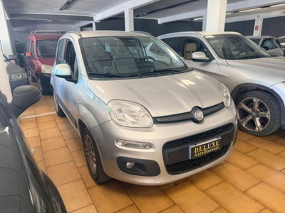 Fiat Panda 1.2 Easy usata