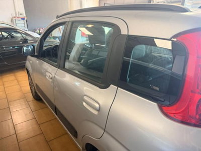 Fiat Panda 1.2 Easy (6)