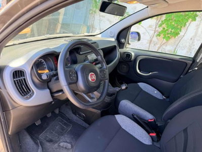 Fiat Panda Cross 1.0 firefly hybrid Cross s&s 70cv 5p.ti (4)
