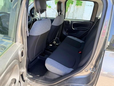 Fiat Panda Cross 1.0 firefly hybrid Cross s&s 70cv 5p.ti (5)