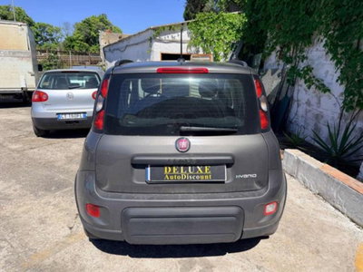 Fiat Panda Cross 1.0 firefly hybrid Cross s&s 70cv 5p.ti (6)
