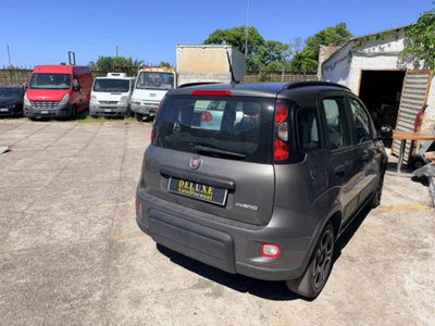 Fiat Panda Cross 1.0 firefly hybrid Cross s&s 70cv 5p.ti (7)