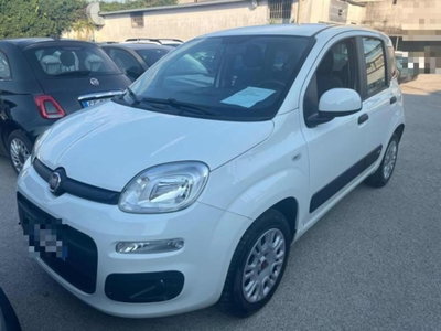 Fiat Panda 1.2 usata