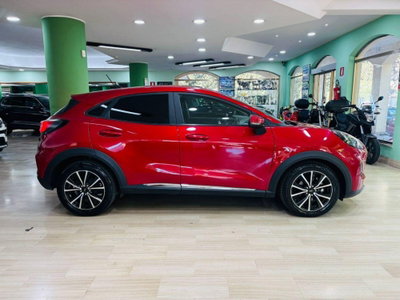 Ford Puma 1.0 ecoboost h ST-Line X 125cv (4)