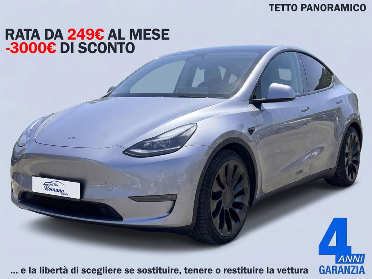 Tesla Model Y Performance Dual Motor awd