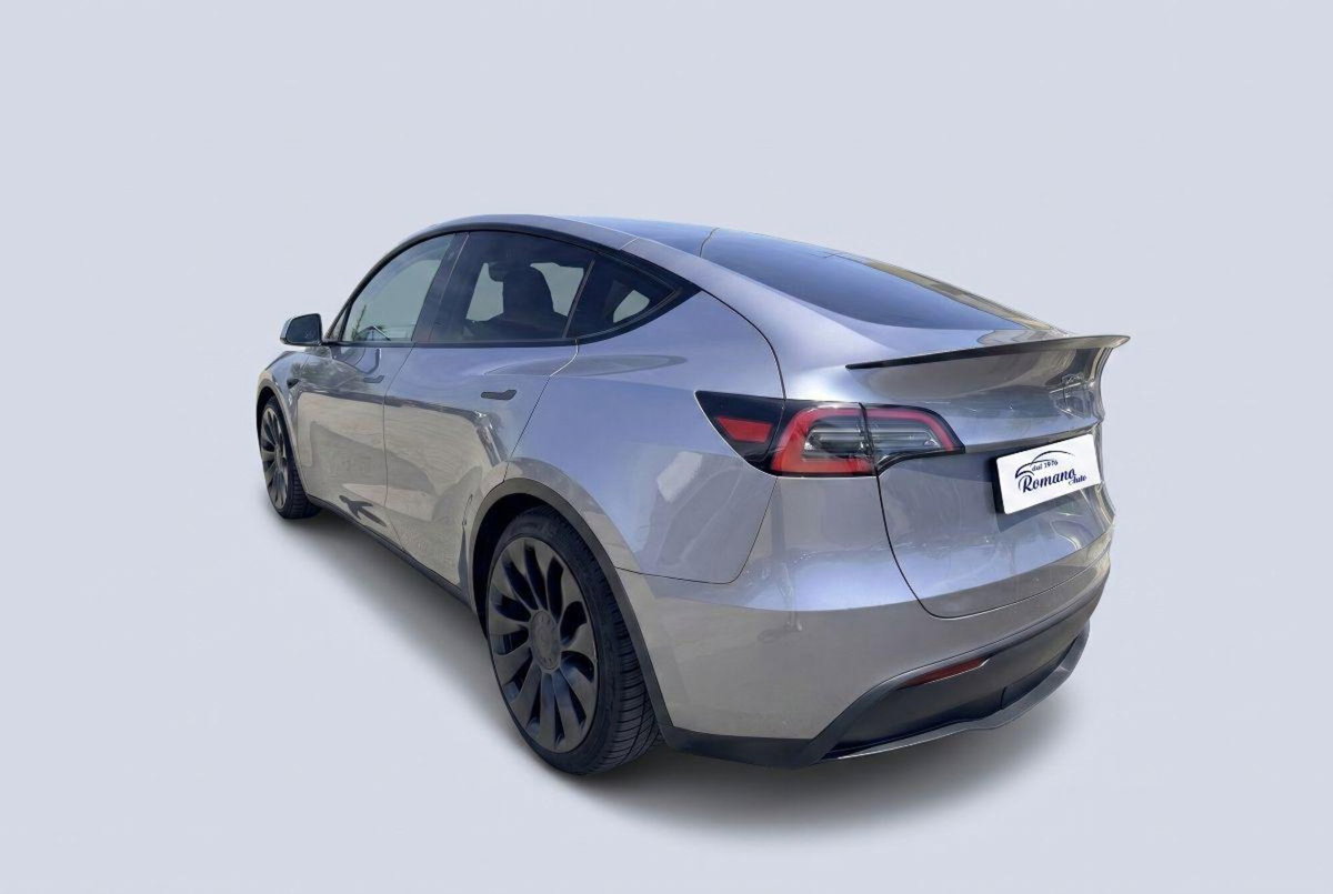 Tesla Model Y Performance Dual Motor awd (4)