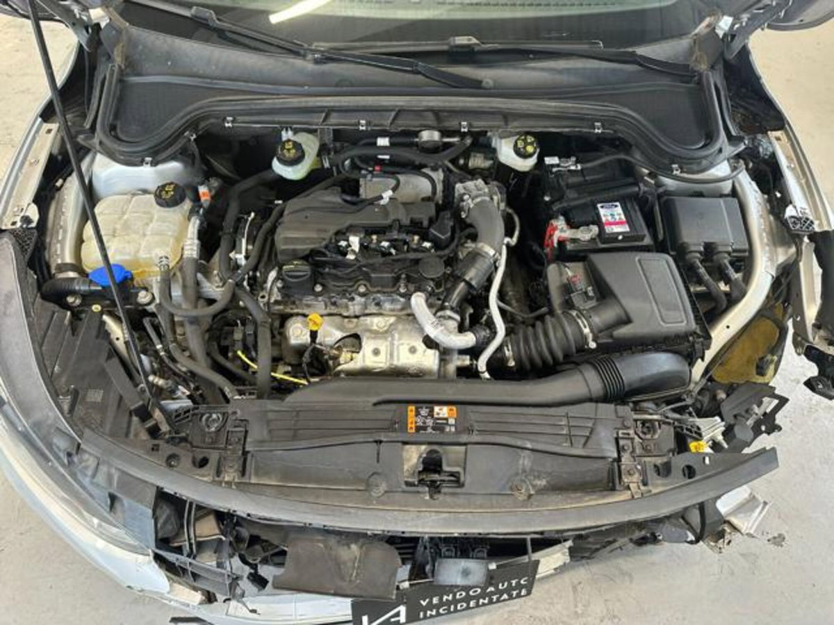Ford Focus Station Wagon 1.5 EcoBlue 115 CV automatico SW ST-Line Design (10)