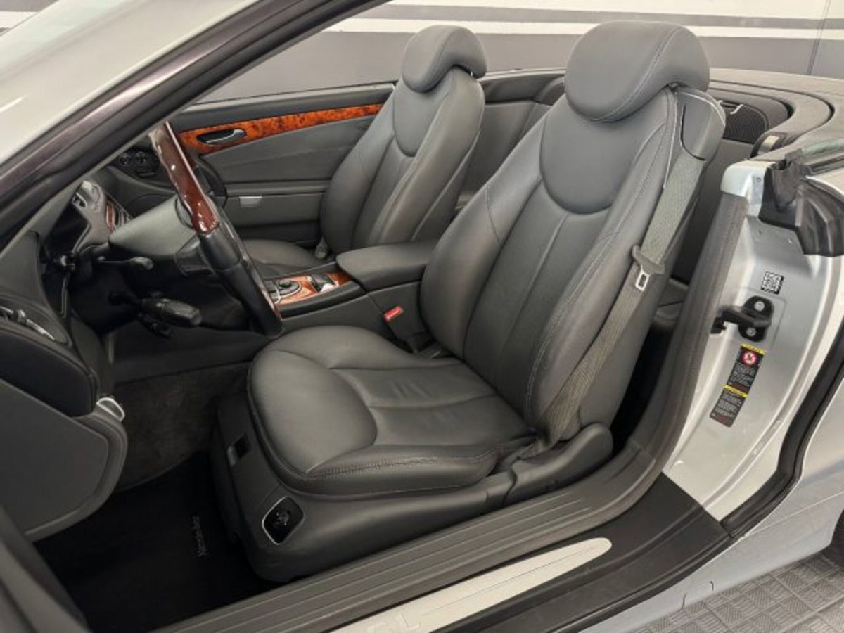 Mercedes-Benz SL 500 cat (10)