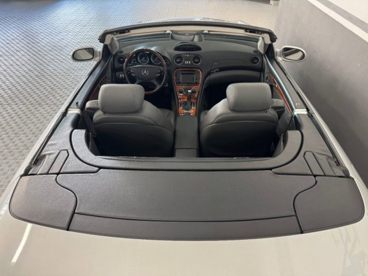 Mercedes-Benz SL 500 cat (11)