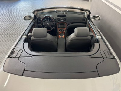 Mercedes-Benz SL 500 cat (11)