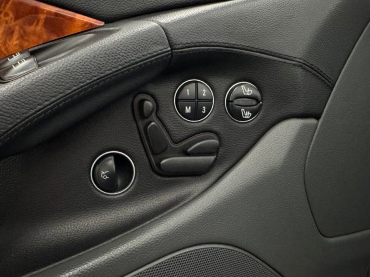 Mercedes-Benz SL 500 cat (12)