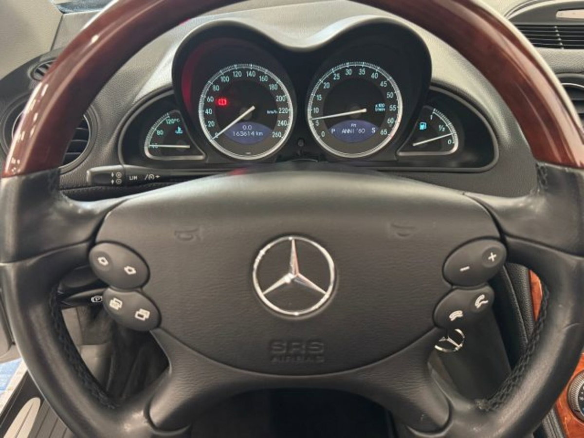 Mercedes-Benz SL 500 cat (13)