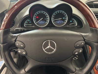 Mercedes-Benz SL 500 cat (13)