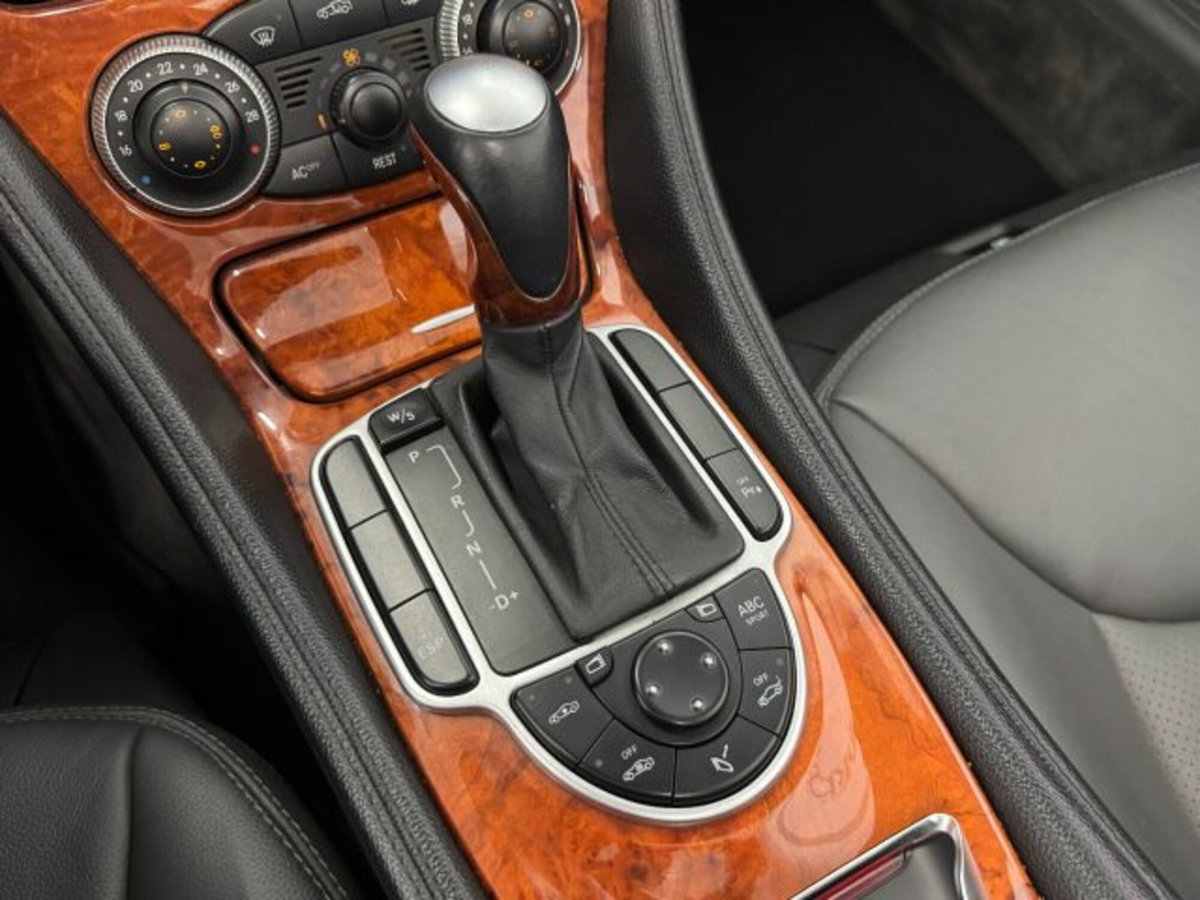 Mercedes-Benz SL 500 cat (15)