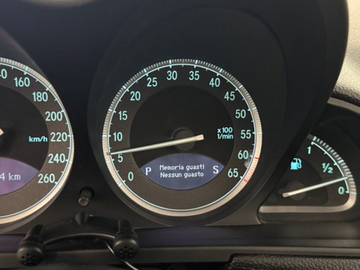 Mercedes-Benz SL 500 cat (17)