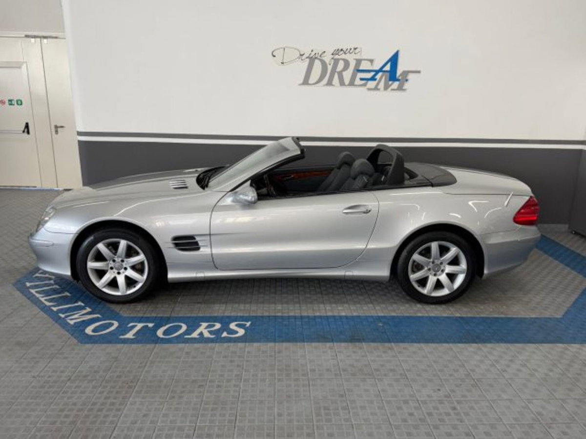 Mercedes-Benz SL 500 cat (19)