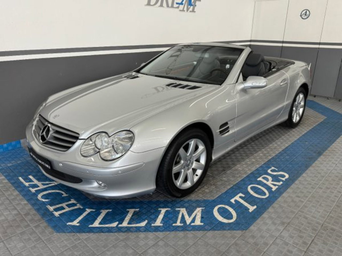 Mercedes-Benz SL 500 cat (2)