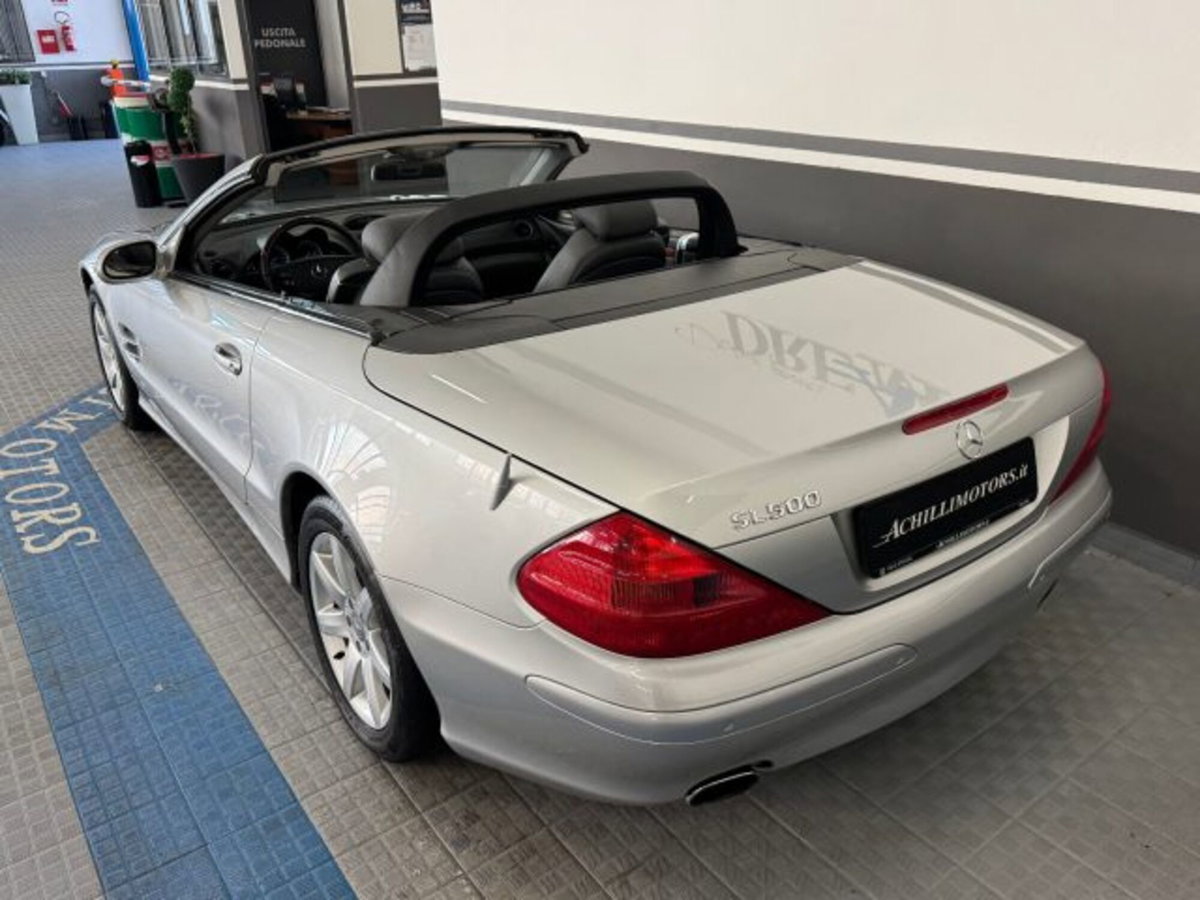 Mercedes-Benz SL 500 cat (20)