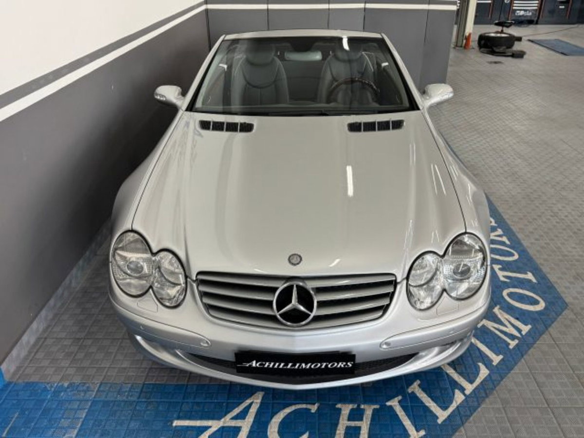 Mercedes-Benz SL 500 cat (3)