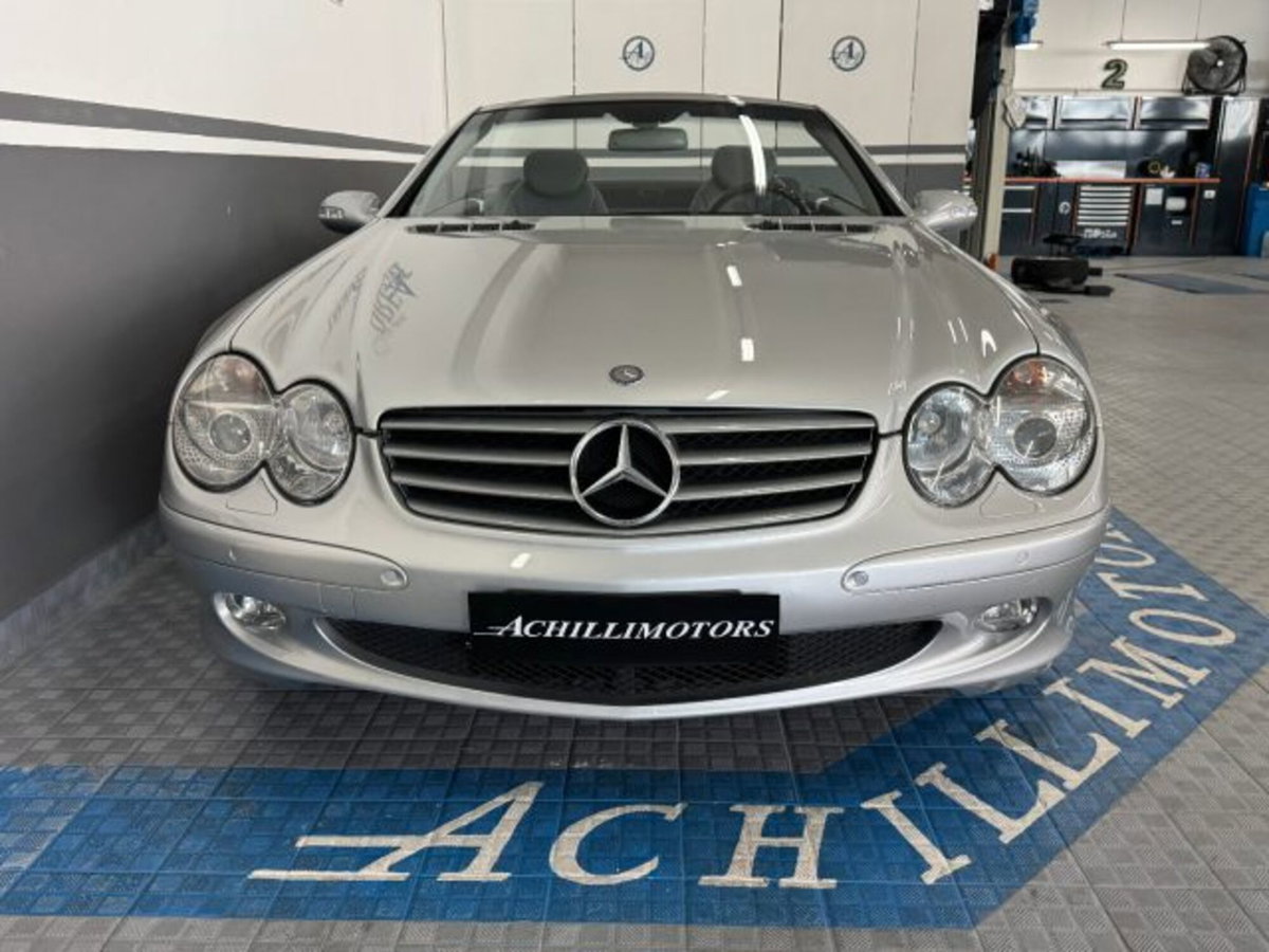 Mercedes-Benz SL 500 cat (4)