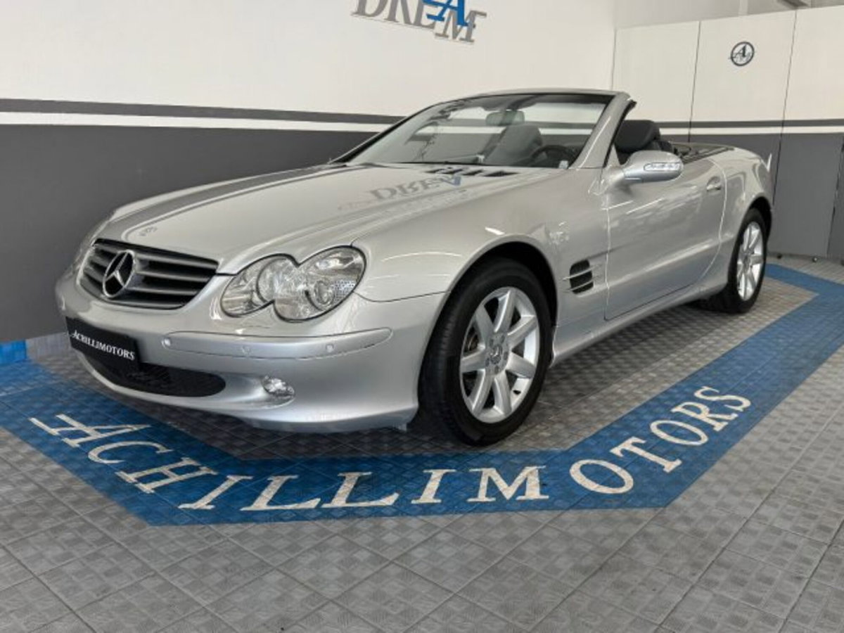 Mercedes-Benz SL 500 cat (5)