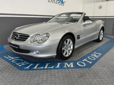 Mercedes-Benz SL 500 cat (5)