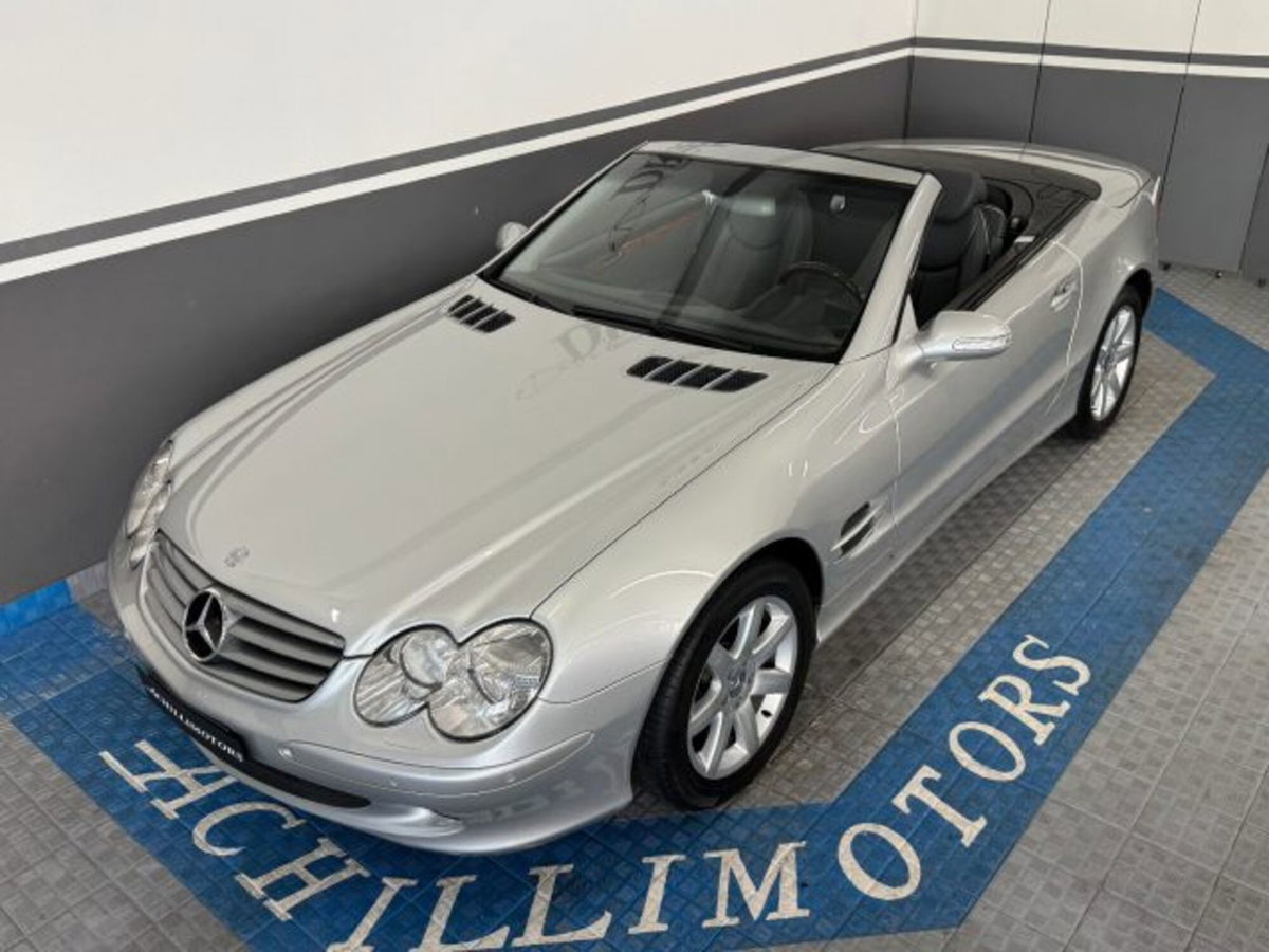 Mercedes-Benz SL 500 cat (6)