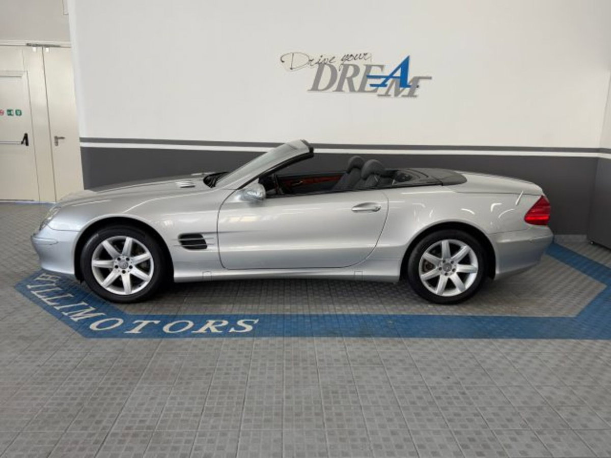 Mercedes-Benz SL 500 cat (7)