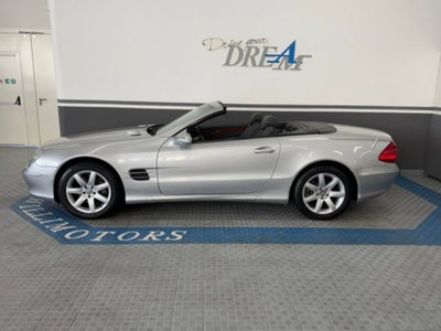 Mercedes-Benz SL 500 cat (7)