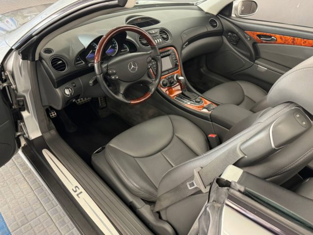 Mercedes-Benz SL 500 cat (8)