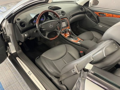 Mercedes-Benz SL 500 cat (8)