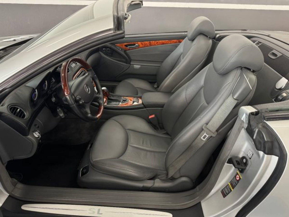 Mercedes-Benz SL 500 cat (9)