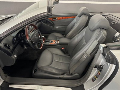 Mercedes-Benz SL 500 cat (9)