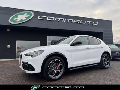 Alfa Romeo Stelvio Stelvio 2.2 Turbodiesel 210 CV AT8 Q4 Veloce usata